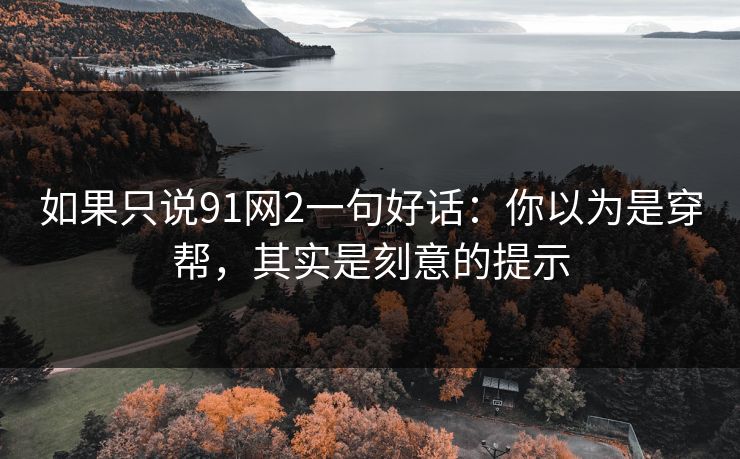 如果只说91网2一句好话：你以为是穿帮，其实是刻意的提示