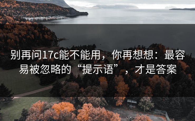 别再问17c能不能用，你再想想：最容易被忽略的“提示语”，才是答案  第1张