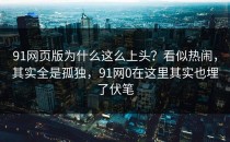 91网页版为什么这么上头？看似热闹，其实全是孤独，91网0在这里其实也埋了伏笔