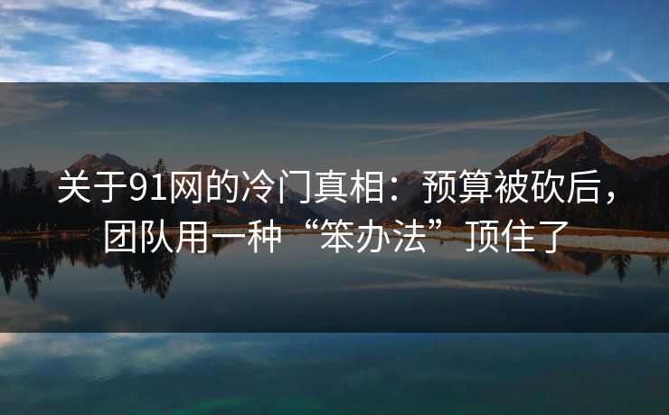 关于91网的冷门真相:预算被砍后,团队用一种“笨办法”顶住了 关于91网的冷门真相:预算被砍后,团队用一种“笨办法”顶住了