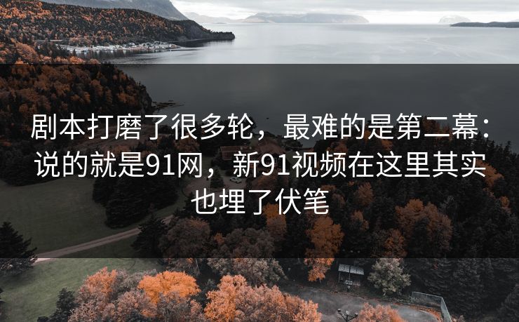 剧本打磨了很多轮，最难的是第二幕：说的就是91网，新91视频在这里其实也埋了伏笔